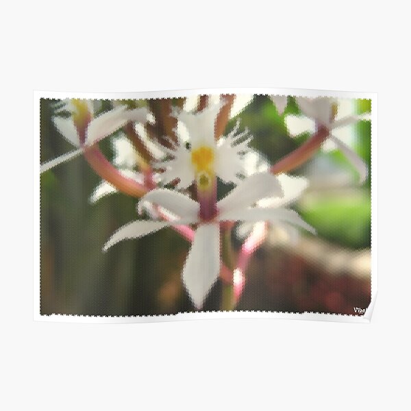 Crucifix orchid tiling poster Poster