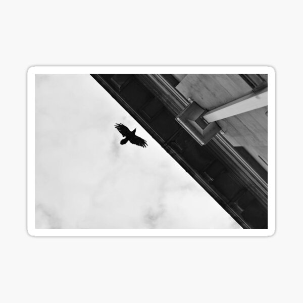 Item preview, Bird in Flight designed and sold by DesignOrigins.