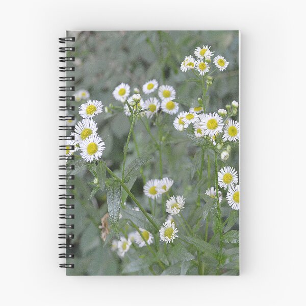 Item preview, daisy shot designed and sold by dnparker.