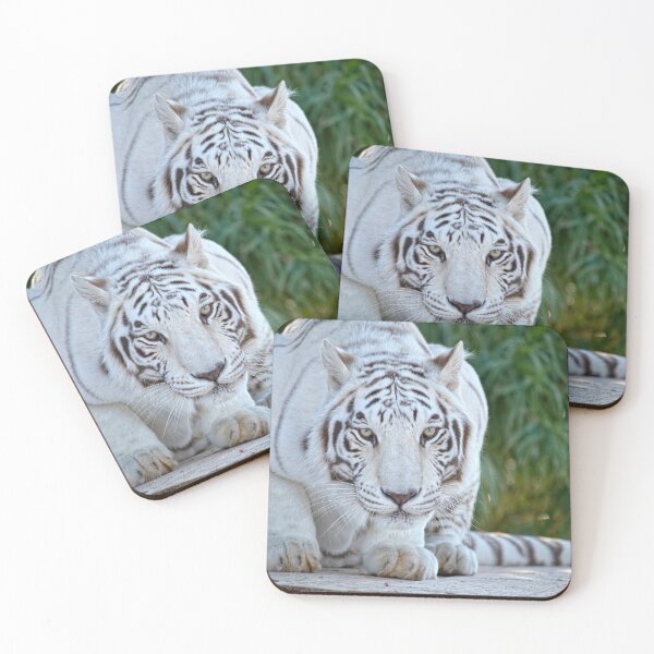 Item preview, Crouching White Tiger  designed and sold by Lucinda Walter.
