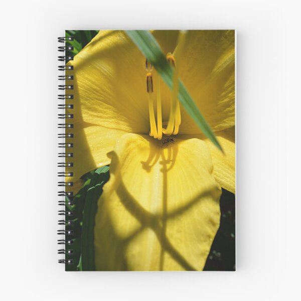 Item preview, yellow flower and bug designed and sold by dnparker.
