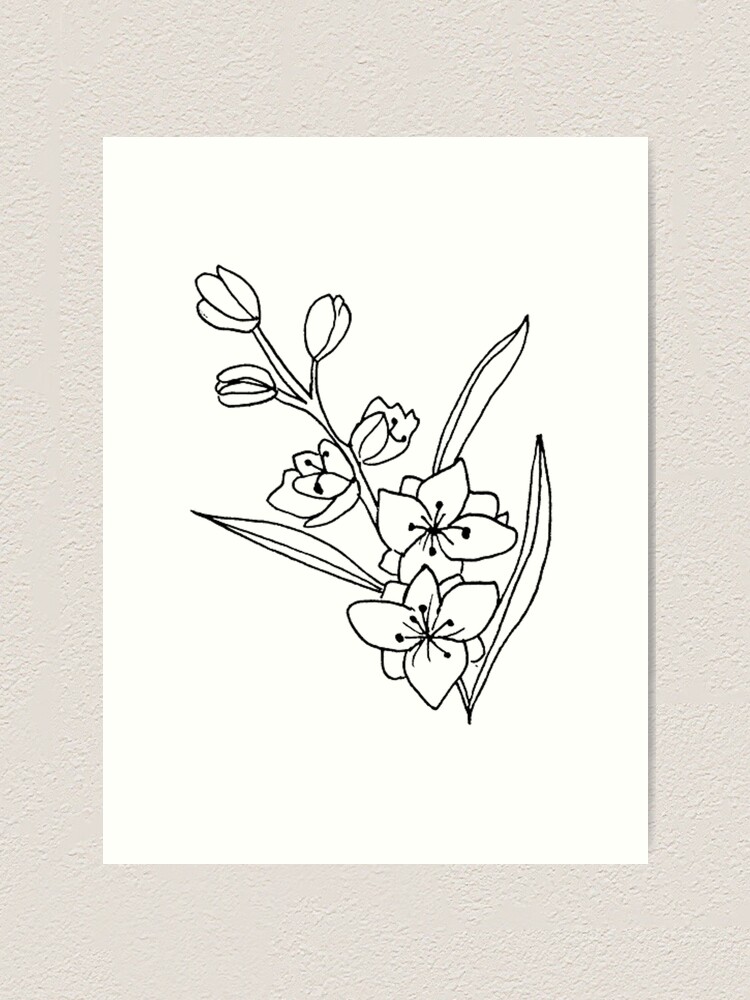 Freesia Flowers Drawing