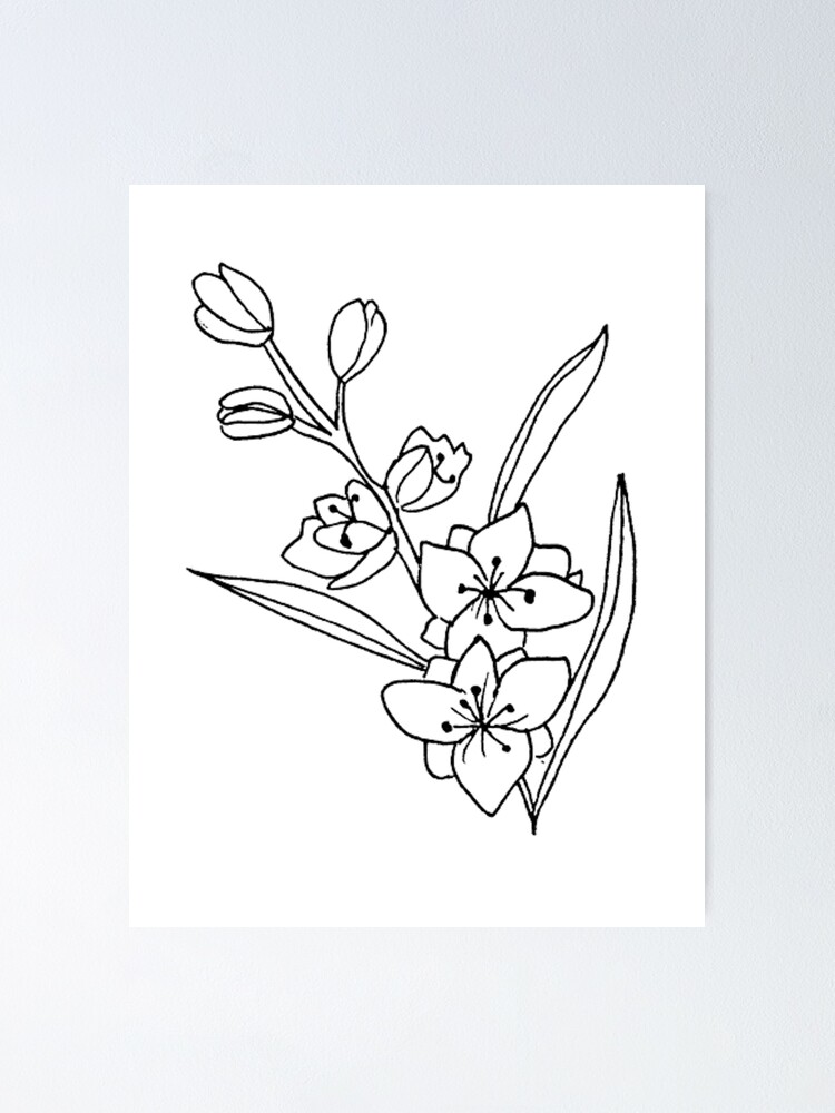 Póster «Dibujo de flores de fresia» de KeysOfParadise | Redbubble