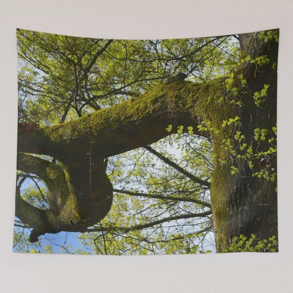 Item preview, moss in sunlight designed and sold by dnparker.
