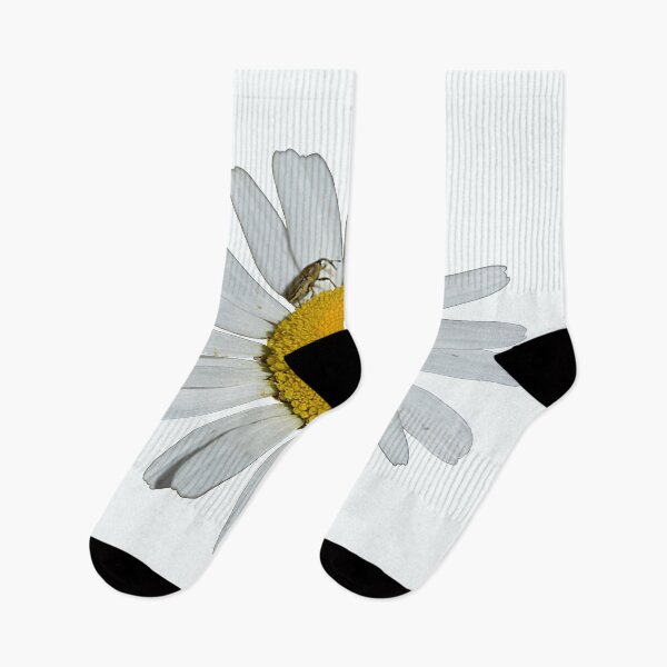 Item preview, daisy with insect designed and sold by dnparker.