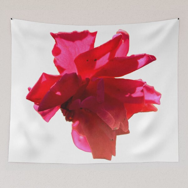 Item preview, rose bloom designed and sold by dnparker.