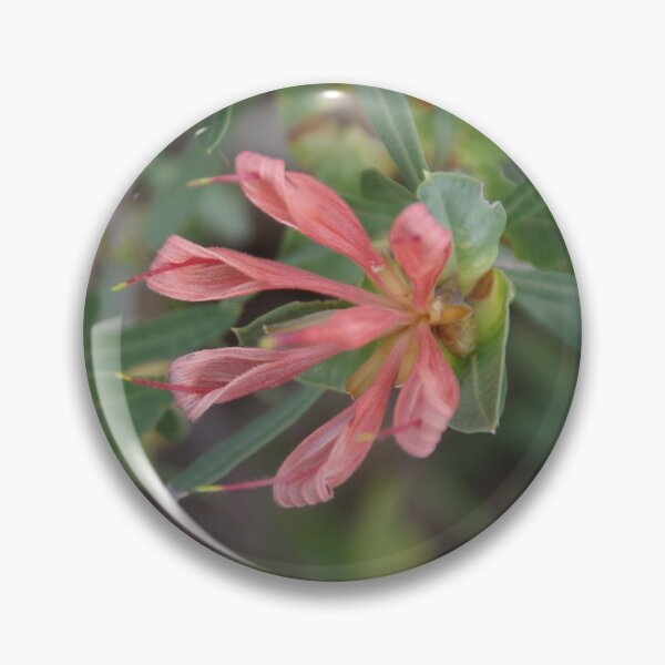Item preview, Kings Park Honeysuckle  designed and sold by lezvee.