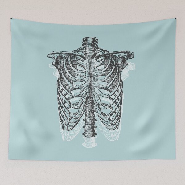 Item preview, Anatomical Ribcage • Pastel Blue • Pastel Goth designed and sold by Rike Mayer.