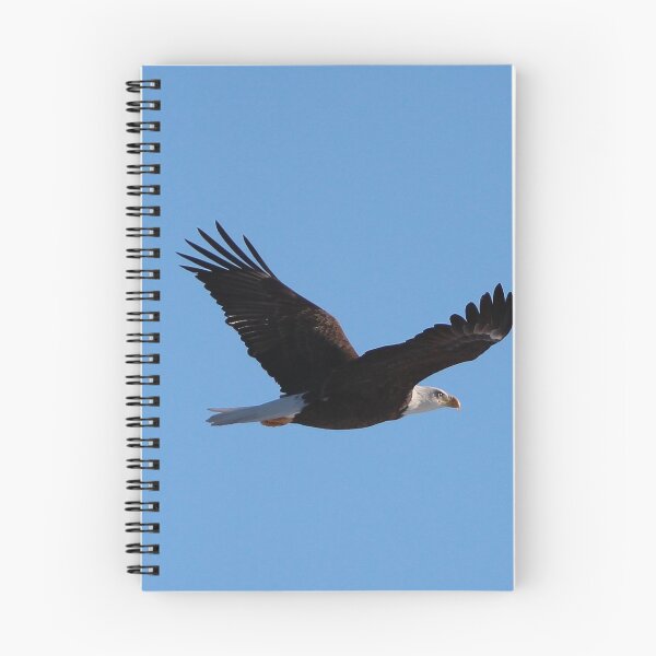 Item preview, American Bald Eagle designed and sold by Susie Kramer.