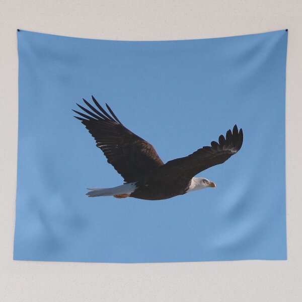Item preview, American Bald Eagle designed and sold by Susie Kramer.