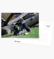 Lunchtime Postcards