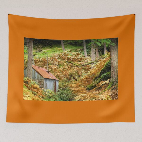 Item preview, Rusty Woodland Hut (3)  Bala, Snowdonia designed and sold by heidipics.