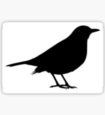Scare Crow Sticker