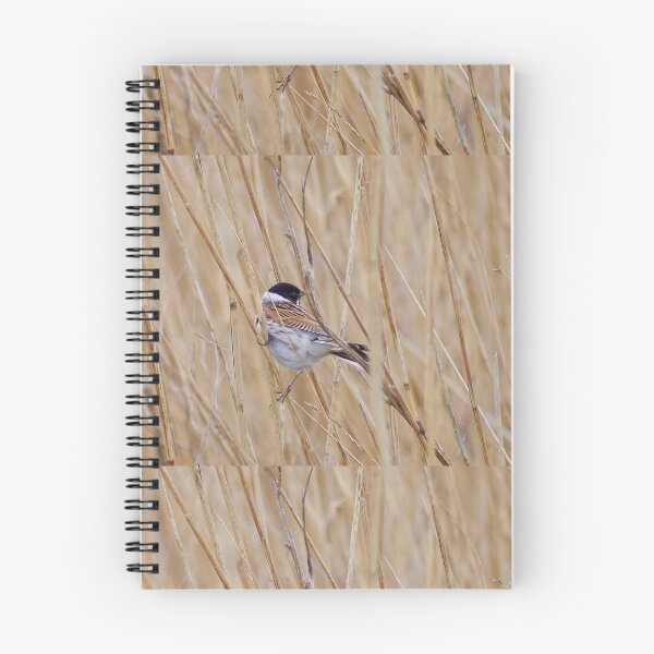 Item preview, Reed Bunting designed and sold by MidnightHoots.