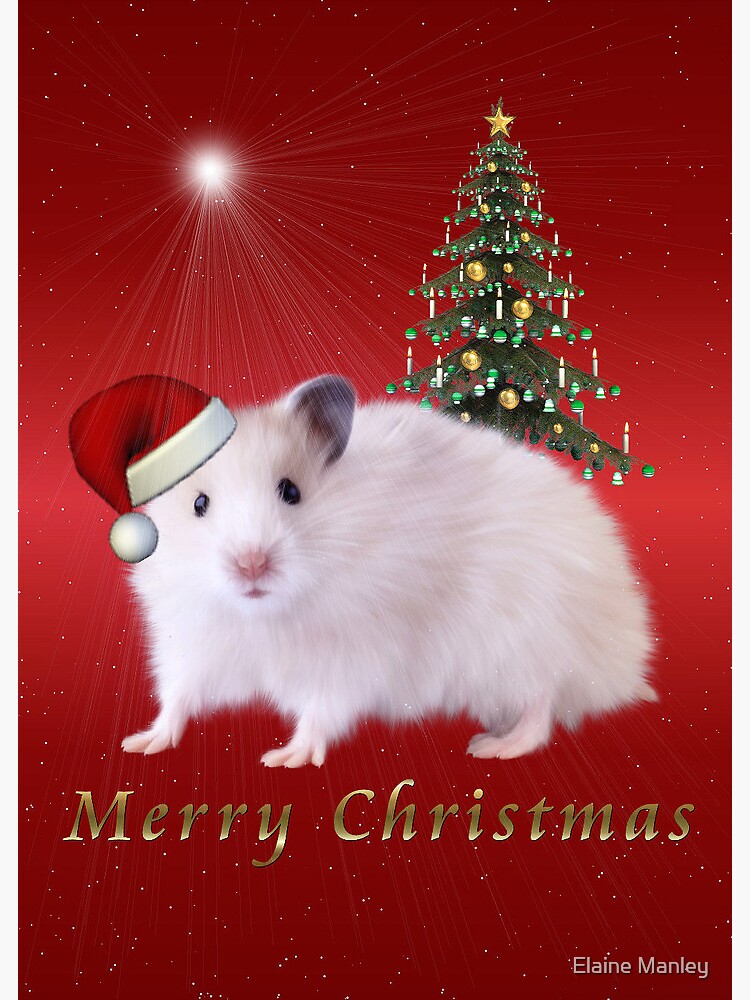 christmas hamster