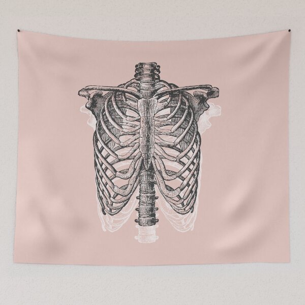Item preview, Anatomical Ribcage • Pastel Pink • Pastel Goth designed and sold by Rike Mayer.
