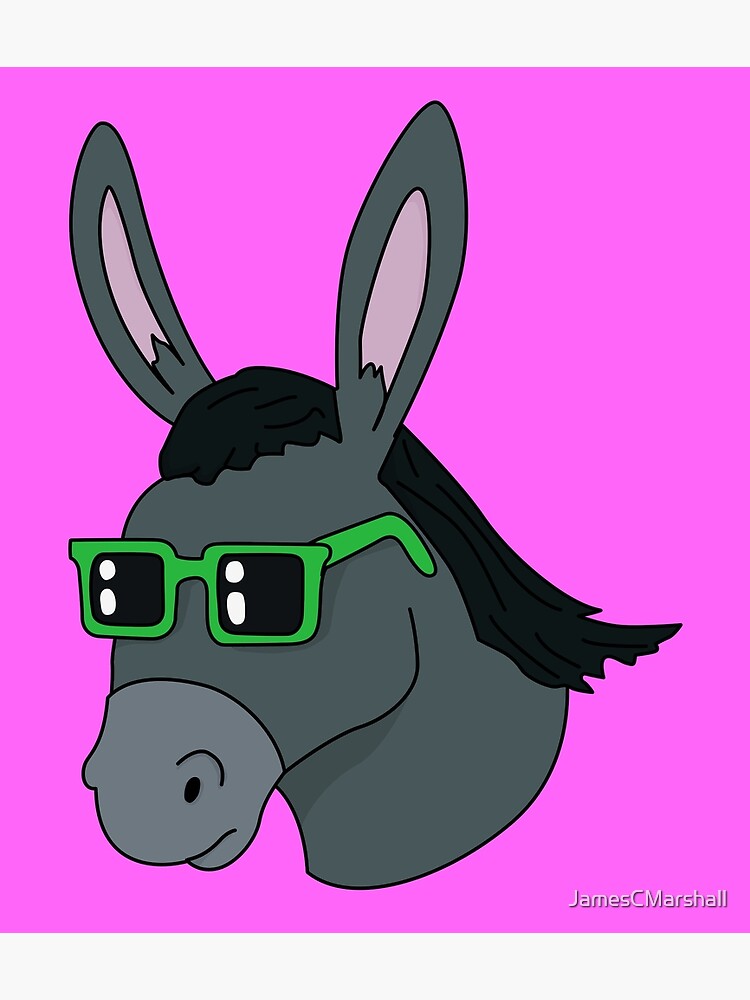 cool donkey