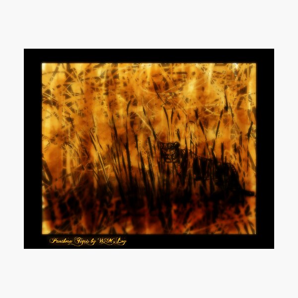 Panthera Tigris, essence Photographic Print