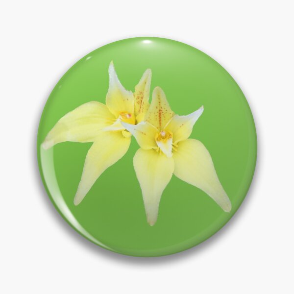 Item preview, Cowslip designed and sold by STHogan.