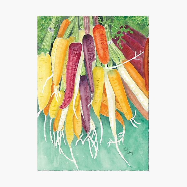 Rainbow Carrots - Realistic Watercolor Photographic Print