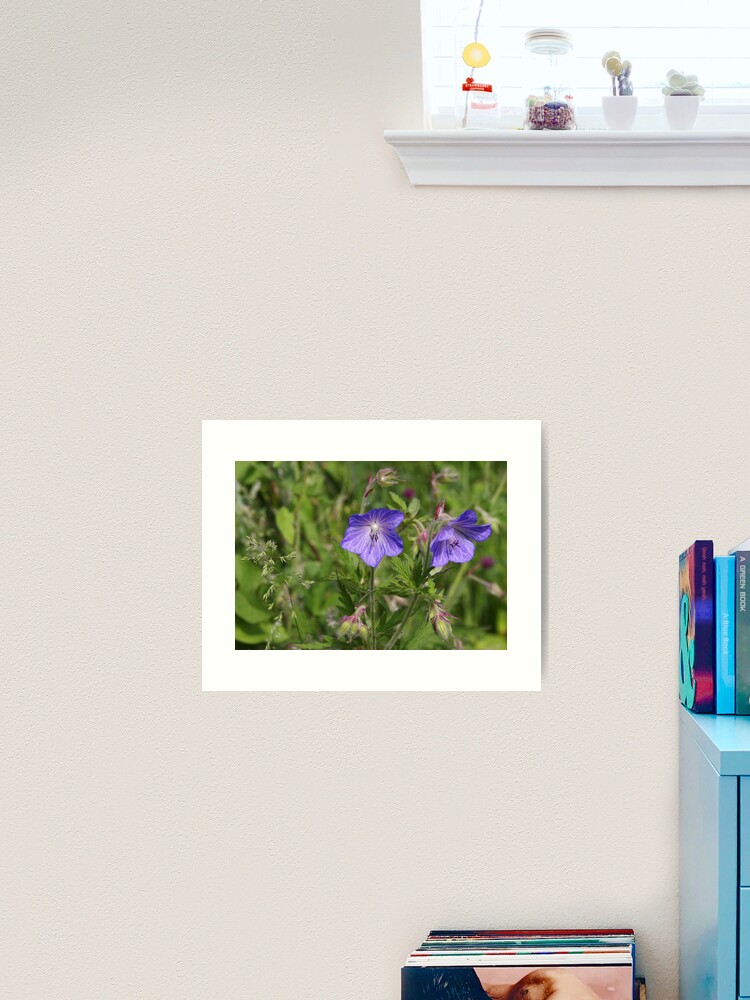 Thumbnail 2 of 3, Art Print, Soft blue Crane´s bill designed and sold by steppeland.