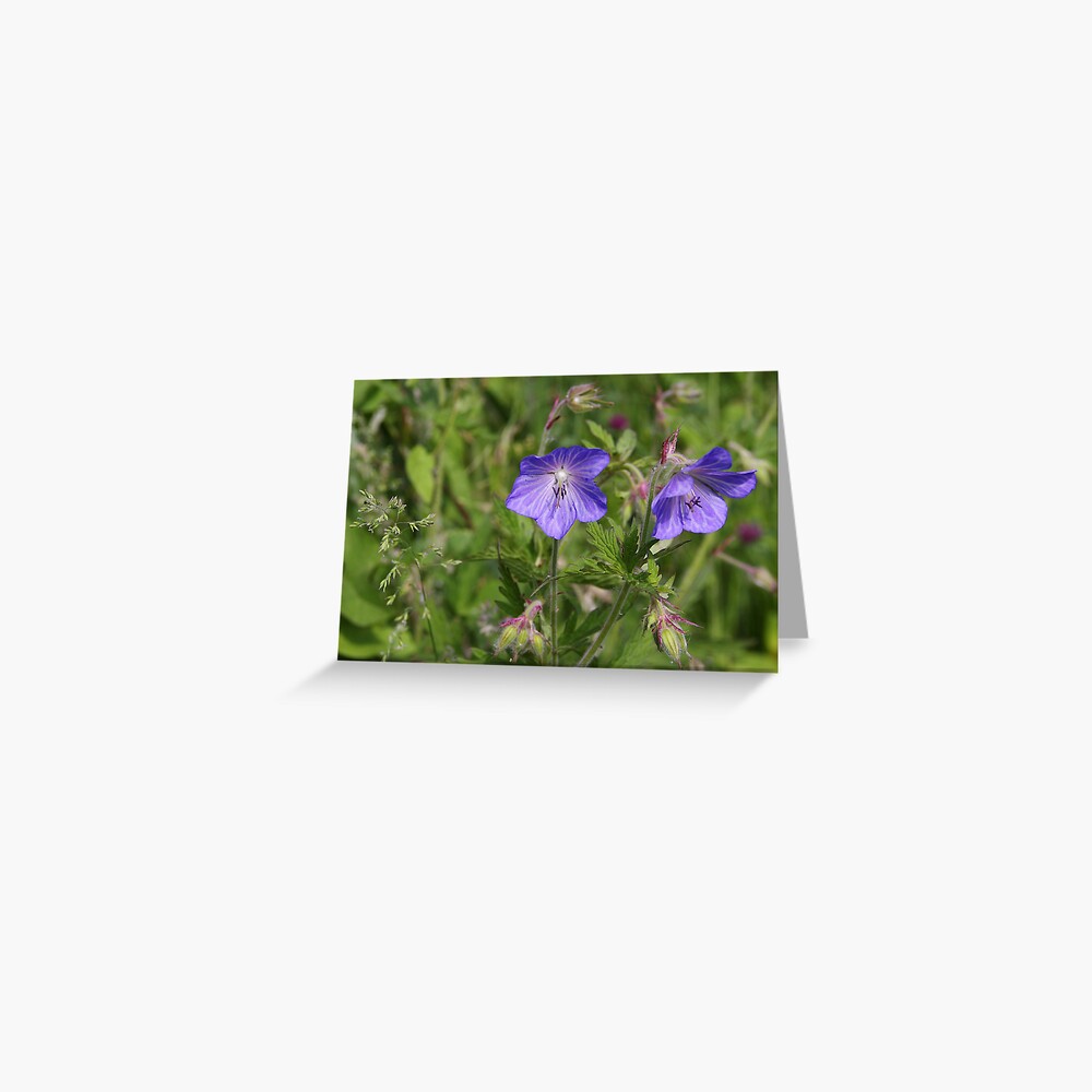Item preview, Greeting Card designed and sold by steppeland.
