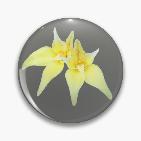 Item preview, Cowslip Orchids designed and sold by STHogan.