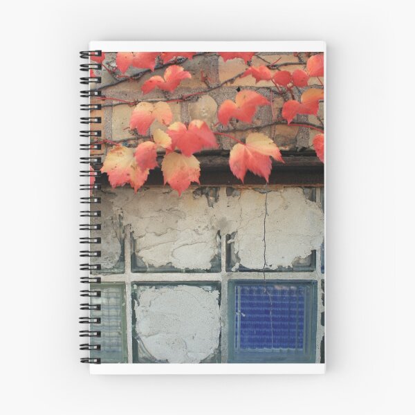 Item preview, forgotten window designed and sold by Lynne Prestebak.