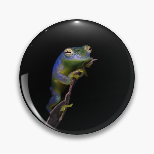 Item preview, Glass Frog designed and sold by mlorenz.