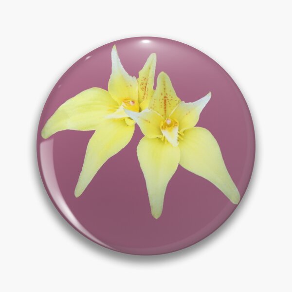Item preview, Cowslip designed and sold by STHogan.