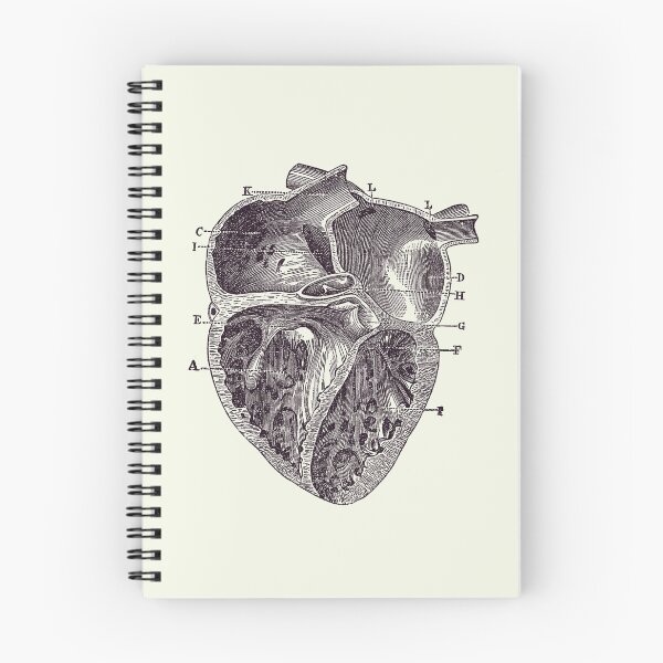 Item preview, Inner Heart Diagram - Vintage Anatomy 2 designed and sold by VAposters.