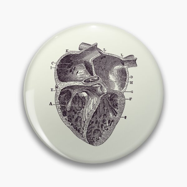 Item preview, Inner Heart Diagram - Vintage Anatomy 2 designed and sold by VAposters.