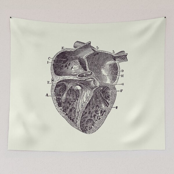 Item preview, Inner Heart Diagram - Vintage Anatomy 2 designed and sold by VAposters.