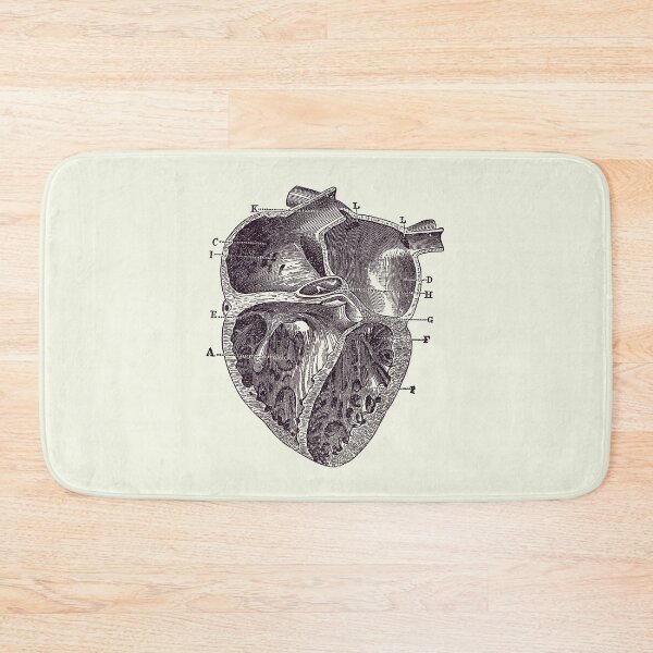 Item preview, Inner Heart Diagram - Vintage Anatomy 2 designed and sold by VAposters.