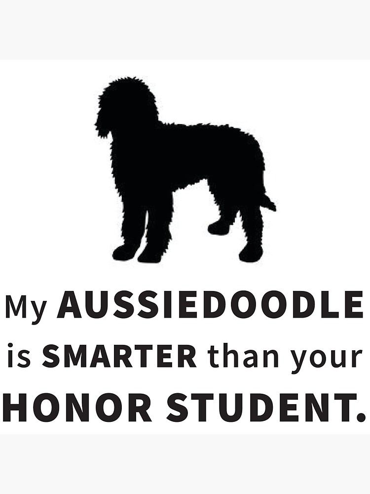"My Aussiedoodle is Smarter than your Honor Student