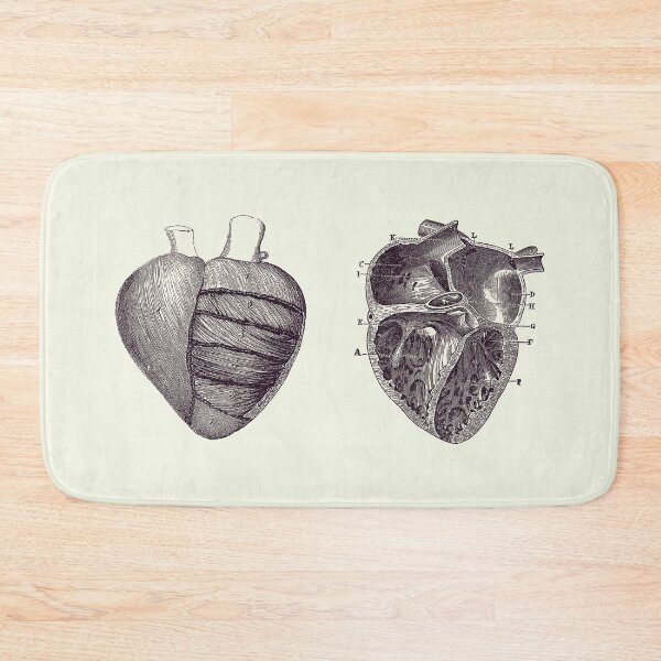 Item preview, Dual View Heart Diagram - Vintage Anatomy Poster 2 designed and sold by VAposters.