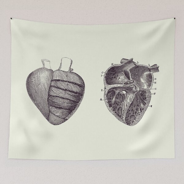 Item preview, Dual View Heart Diagram - Vintage Anatomy Poster 2 designed and sold by VAposters.