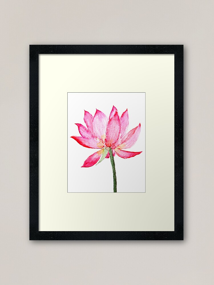 One Lotus Flower Framed Art Print By Colorandcolor Redbubble