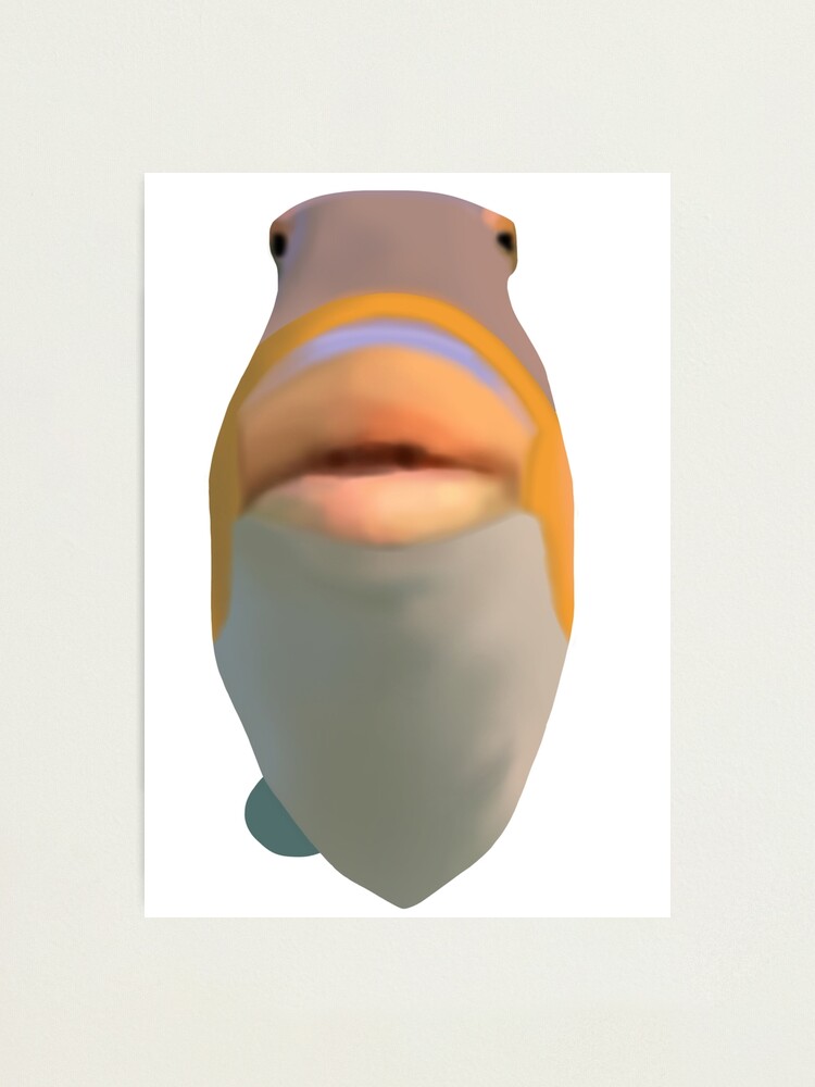 "Fisch Meme" Fotodruck von DoodlesnNoodlez Redbubble