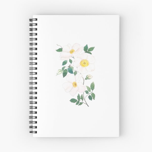 Item preview, white wild Rosa rubiginosa watercolorhand painted  designed and sold by SelenePaintings .
