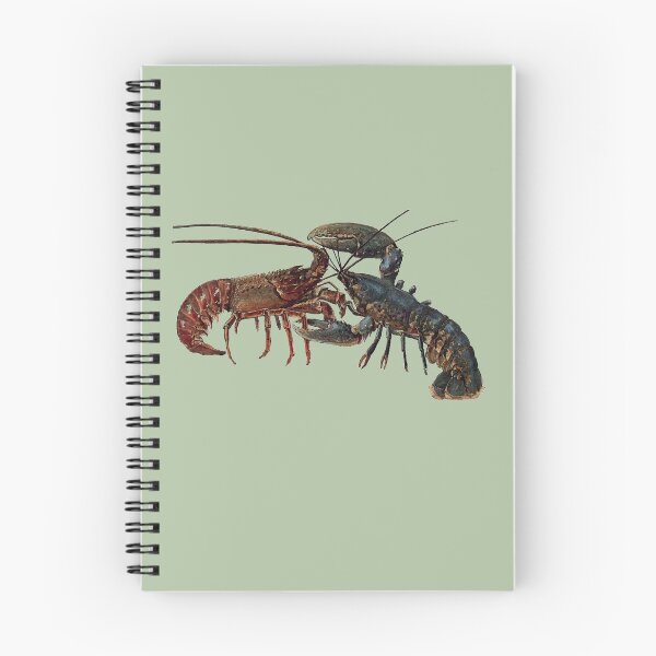 Item preview, Underwater Clawed and Spiny Lobster Fight URM designed and sold by urmaddad.