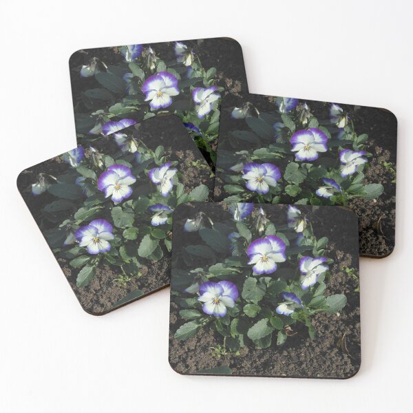 Item preview, Little Darlings - Pansy Quartet designed and sold by SunriseRose.