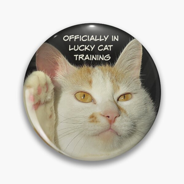 Item preview, Lucky Cat Training designed and sold by Linda Walsh.