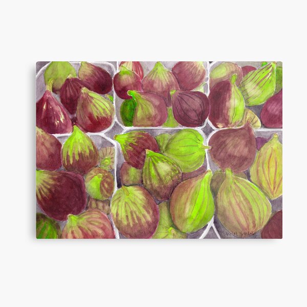 Jerusalem Figs - Realistic Watercolor Metal Print