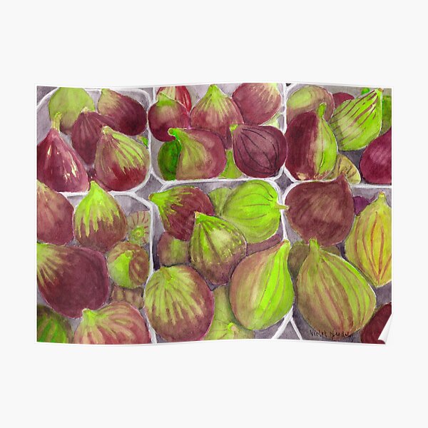Jerusalem Figs - Realistic Watercolor Poster