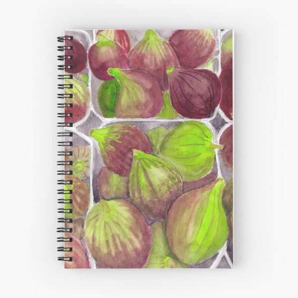 Aperçu de l'œuvre Figues de Jérusalem - aquarelle réaliste créée et vendue par VioletNesdoly.