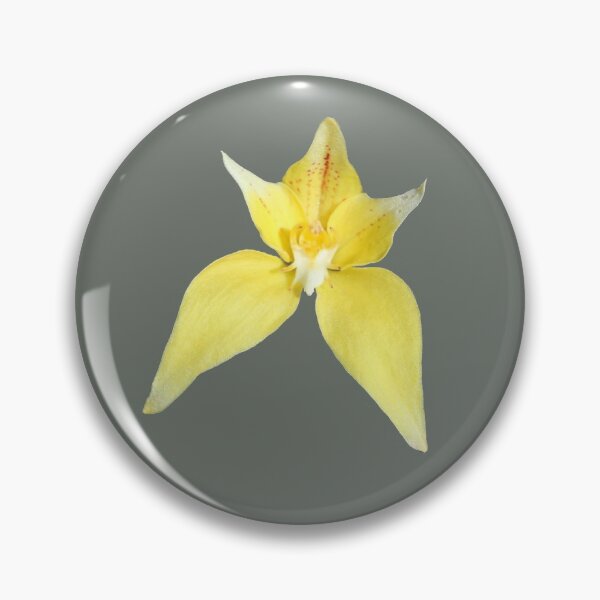 Item preview, Yellow Cowslip Orchid on Green designed and sold by STHogan.