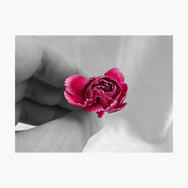 Artikelvorschau, Holding Carnation entworfen und verkauft von Dawn (Paris) Gillies.