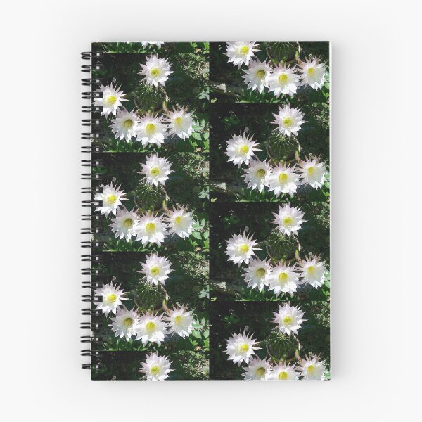 Item preview, Cactus efflorescence designed and sold by crystalline.