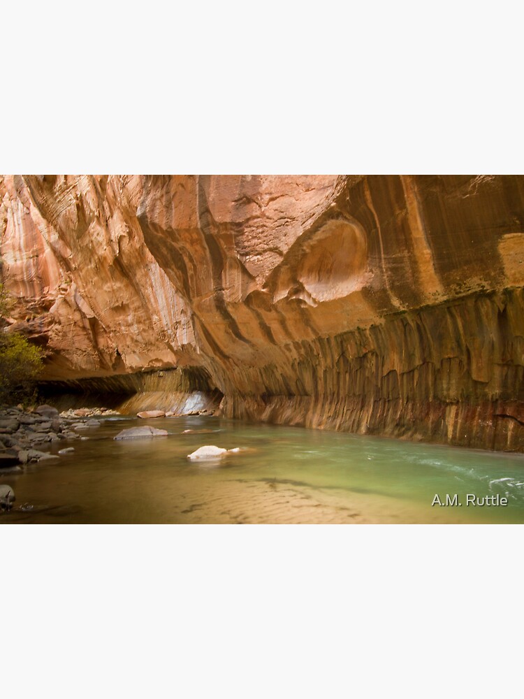 Zion Narrows Slot Canyon by annruttle